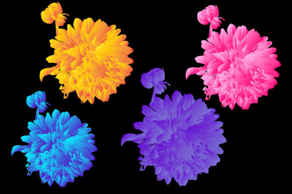 Colorful Rose 3d Design for Kdp or Pod Graphics