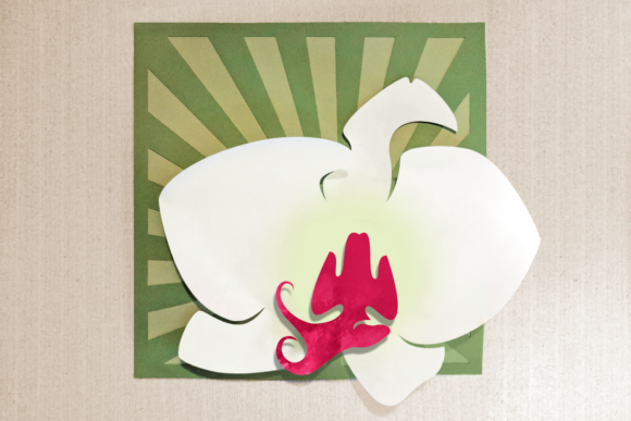 Orchid Art Graphics and Crafts Review